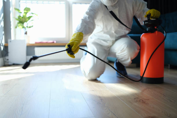 Reliable Odor Removal contractor in Marshall, CA by Dulley Family Biohazard Services